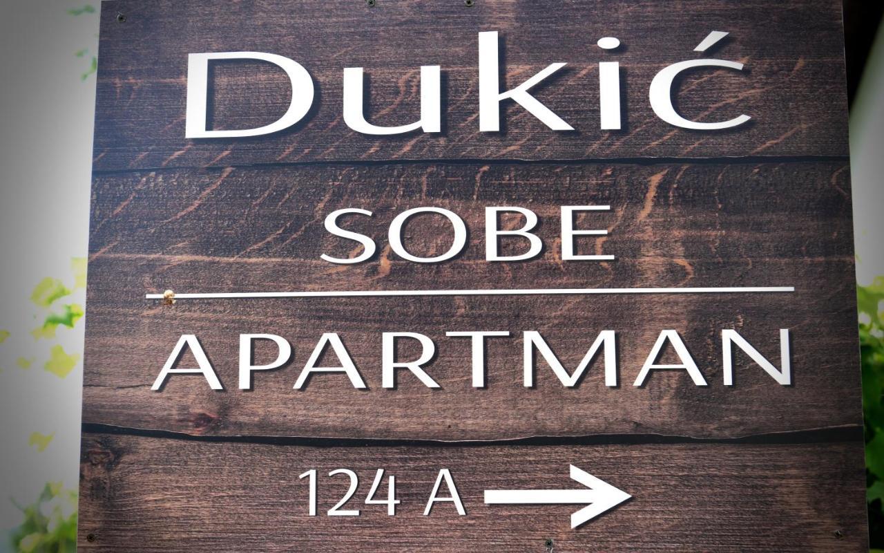 Guest House Family Dukic Rakovica Exterior photo
